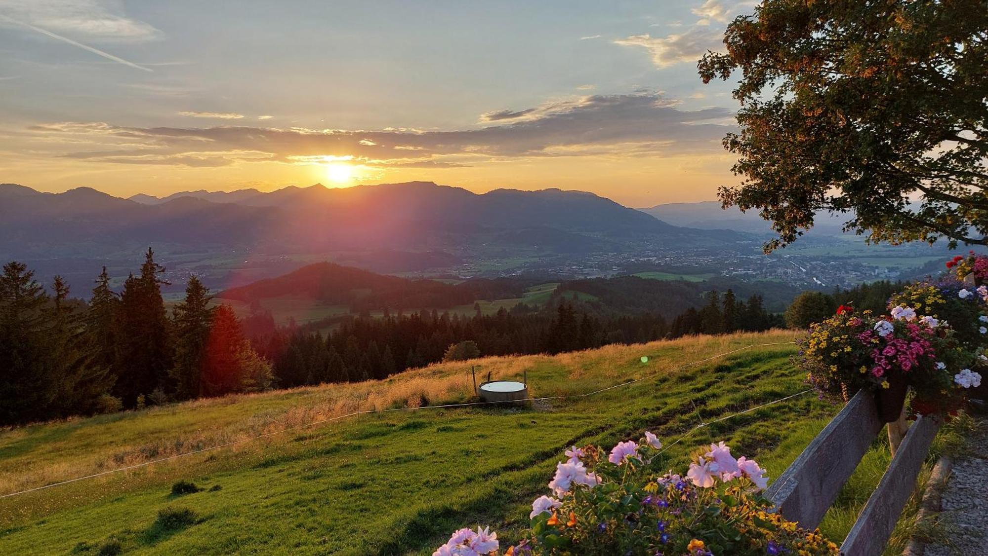 Ferienwohnung Alpenvogel سونثوفن المظهر الخارجي الصورة
